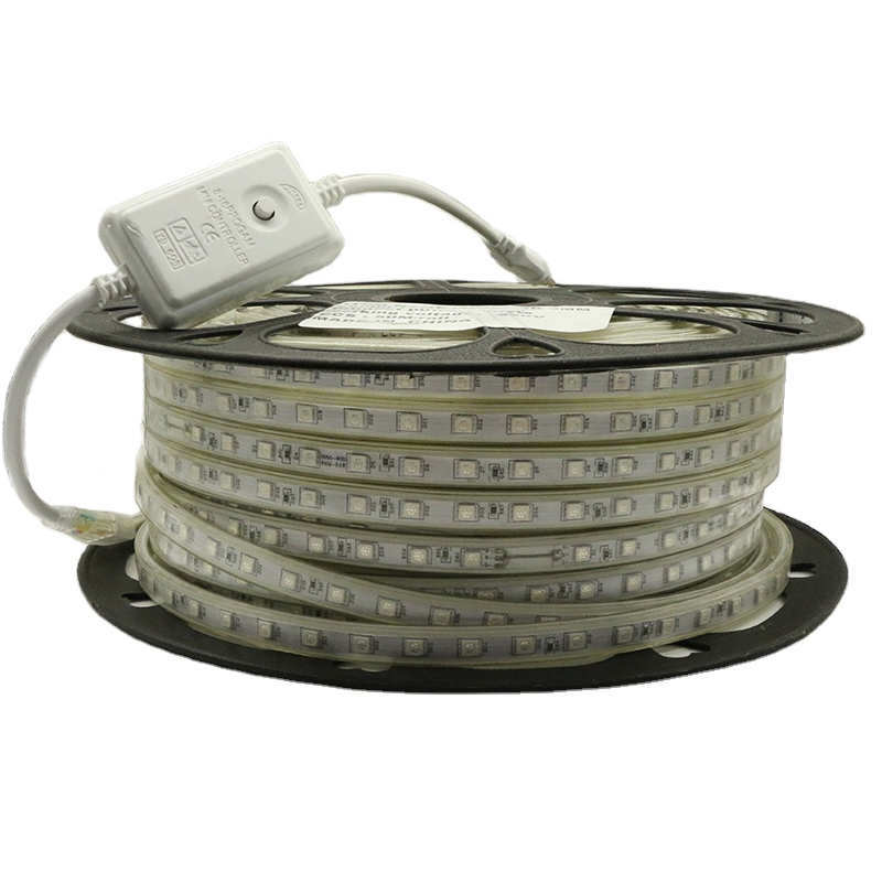 Wholesale 8mm high-voltage 220v patch 60leds outdoor waterproof decorative lights flexible lights 5050 RGB led strip lights